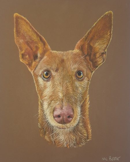 Ernie | Custom Pet Portrait